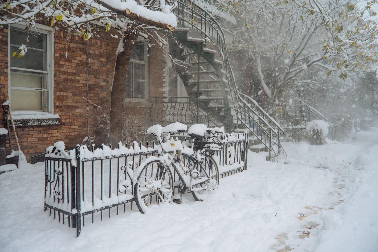 Le froid, l'hiver