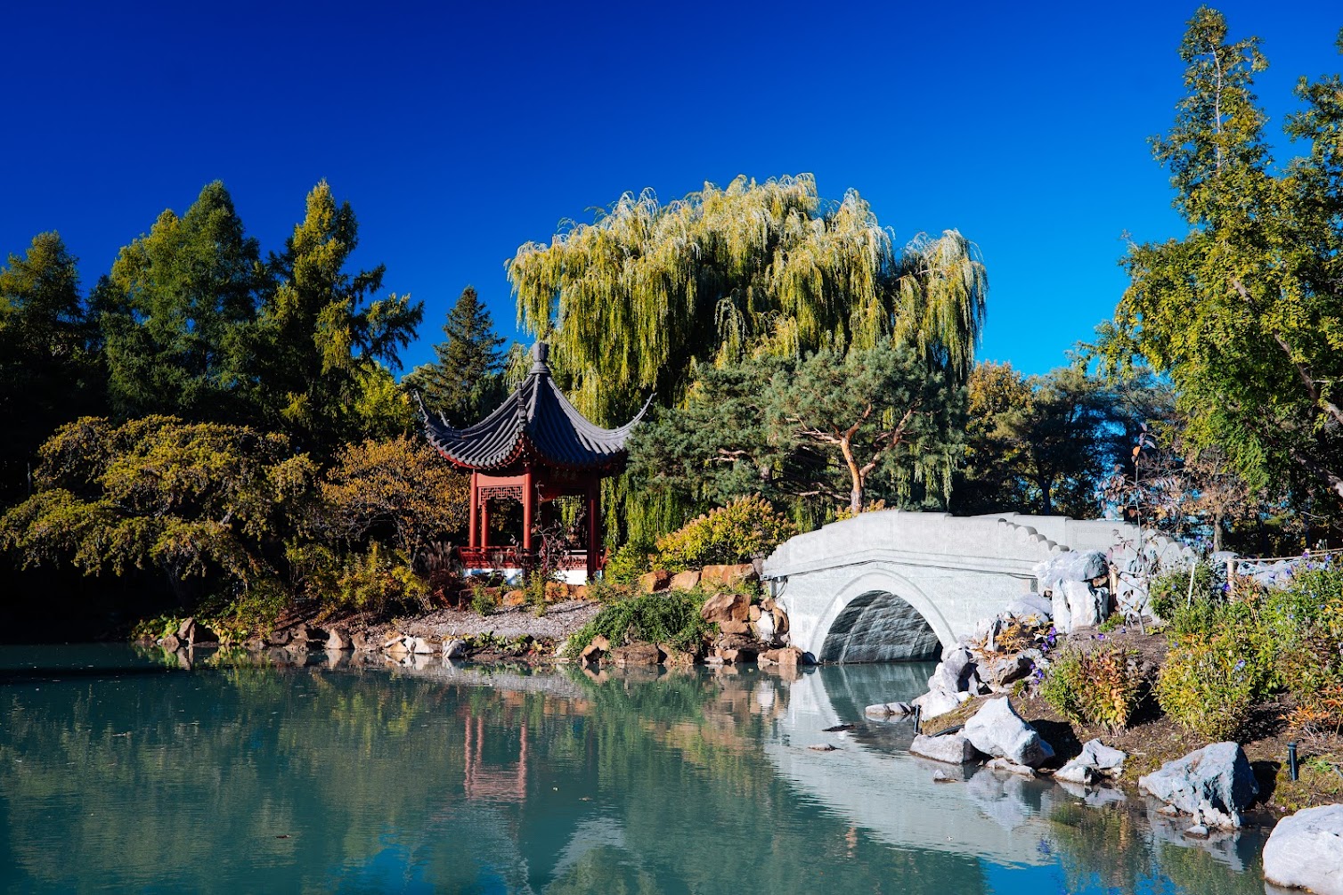 Jardin botanique